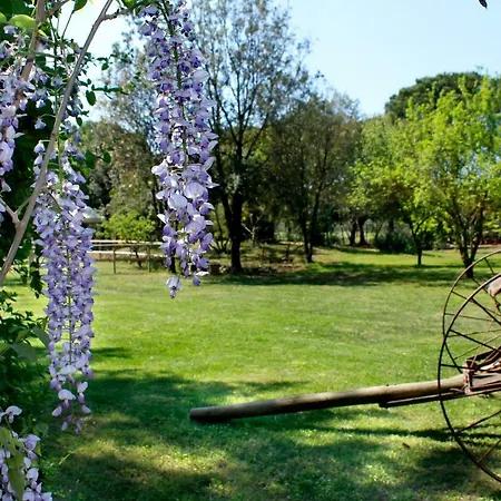 Villa Agriturist Prile Castiglione della Pescaia Esterno foto