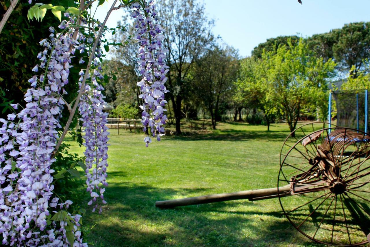 Agriturist Prile Alojamento de Turismo Rural *